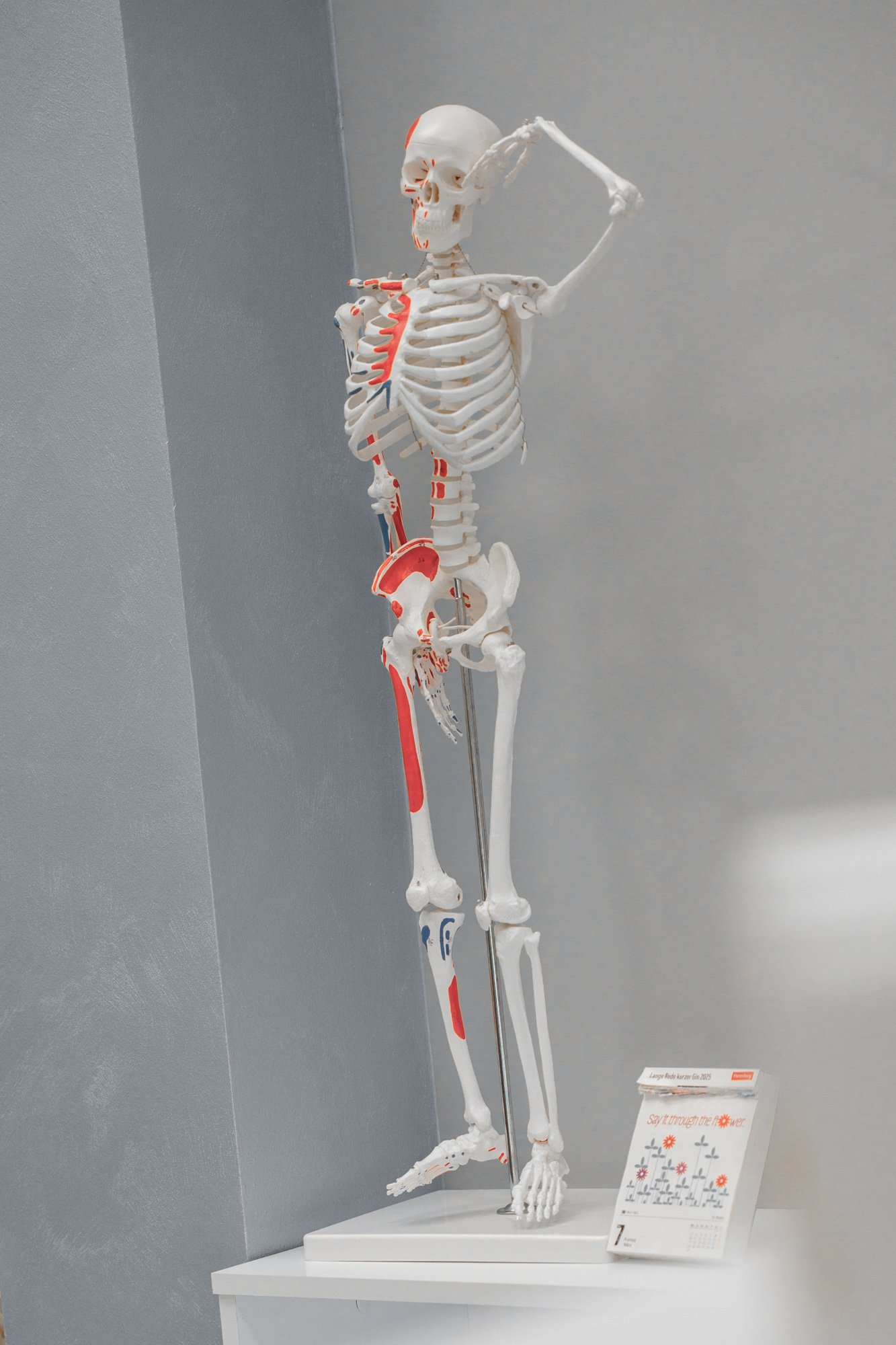 Therafit_Weiden_-207